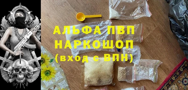 прущие грибы Пестово