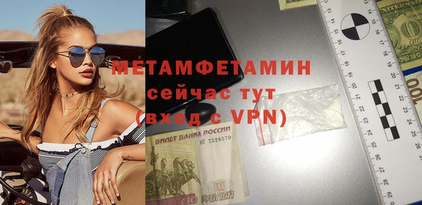 прущие грибы Пестово