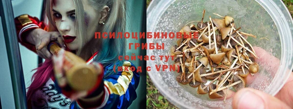 марки lsd Пересвет