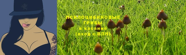 марки lsd Пересвет