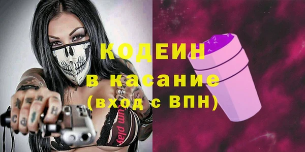 прущие грибы Пестово