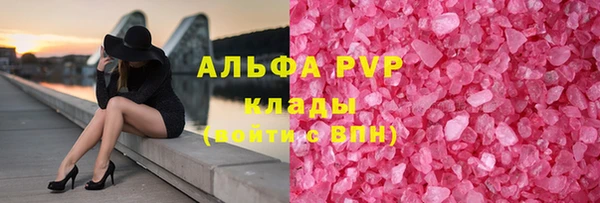 прущие грибы Пестово