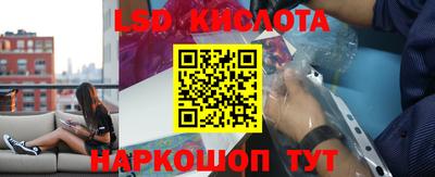 молекула духа Гатчина