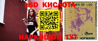 тгк Гай