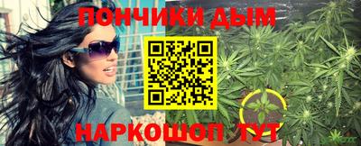 тгк Гай