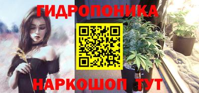 сатива Гагарин