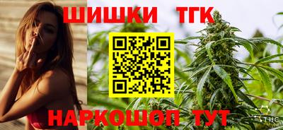 тгк Гай