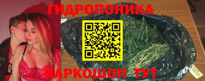 сатива Гагарин