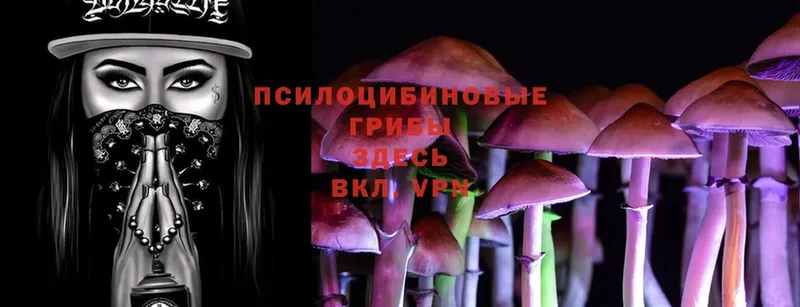 Галлюциногенные грибы Magic Shrooms  Азов 