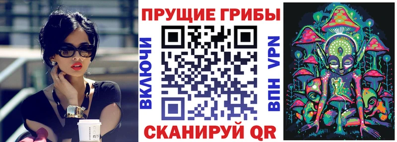 Псилоцибиновые грибы Cubensis omg вход Азов цена наркотик