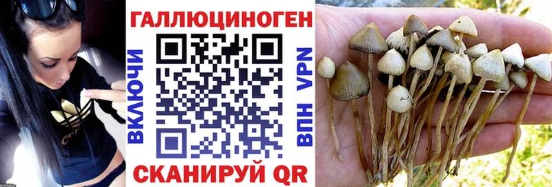 Псилоцибиновые грибы ЛСД Азов