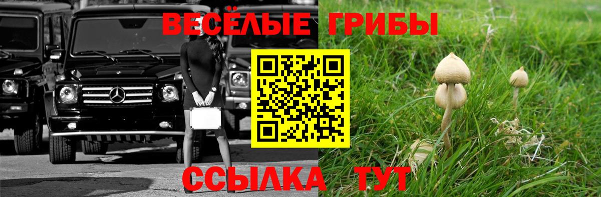 Галлюциногенные грибы Psilocybine cubensis  Вход с VPN  продажа наркотиков  Галлюциногенные грибы прущие грибы  Азов 